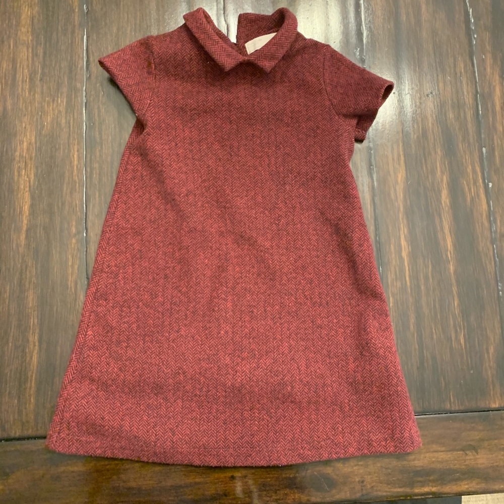 Zara dress